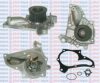 AQUAPLUS 85-2660 Water Pump